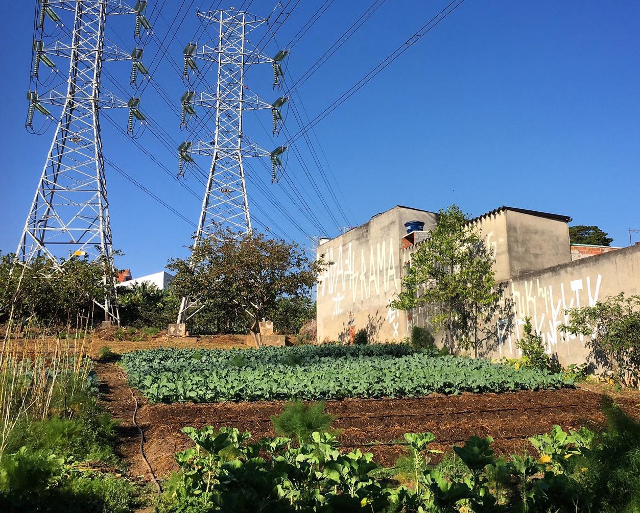 Pessoas trabalhando em horta urbana comunitária