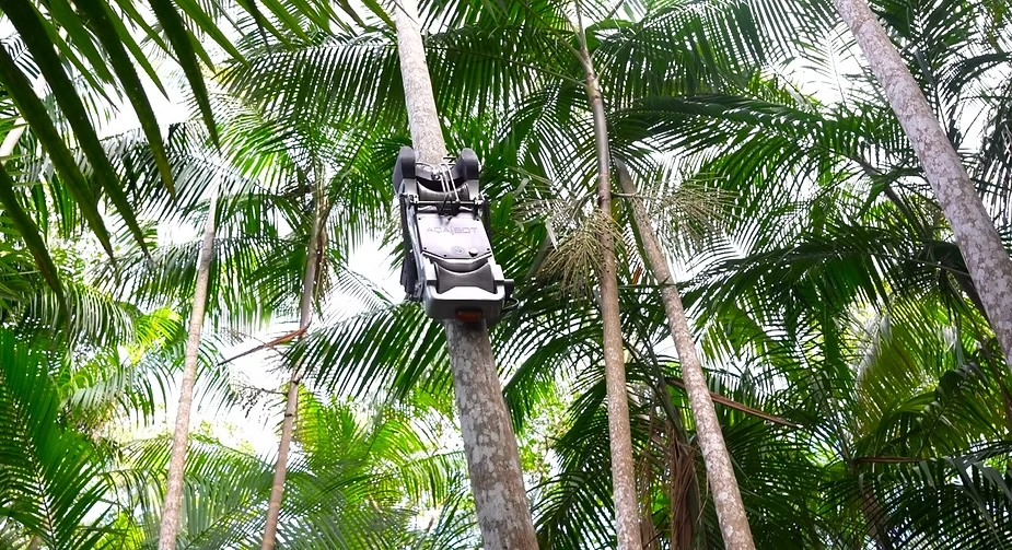 Robô Colhendo Açaí na Amazônia